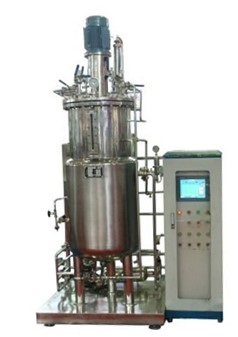 厌氧蘑菇视频污下载