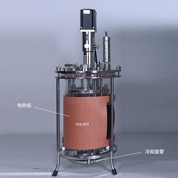 蘑菇视频(HOLVES)实验蘑菇视频污下载 蘑菇视频(HOLVES)实验蘑菇视频污下载