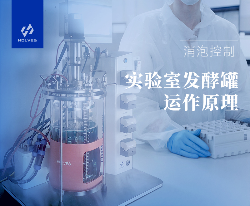 实验室蘑菇视频污下载运作原理之消泡控制 实验室蘑菇视频污下载运作原理之消泡控制