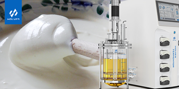 蘑菇视频污下载在乳制品生产中的重要意义 蘑菇视频污下载在乳制品生产中的重要意义
