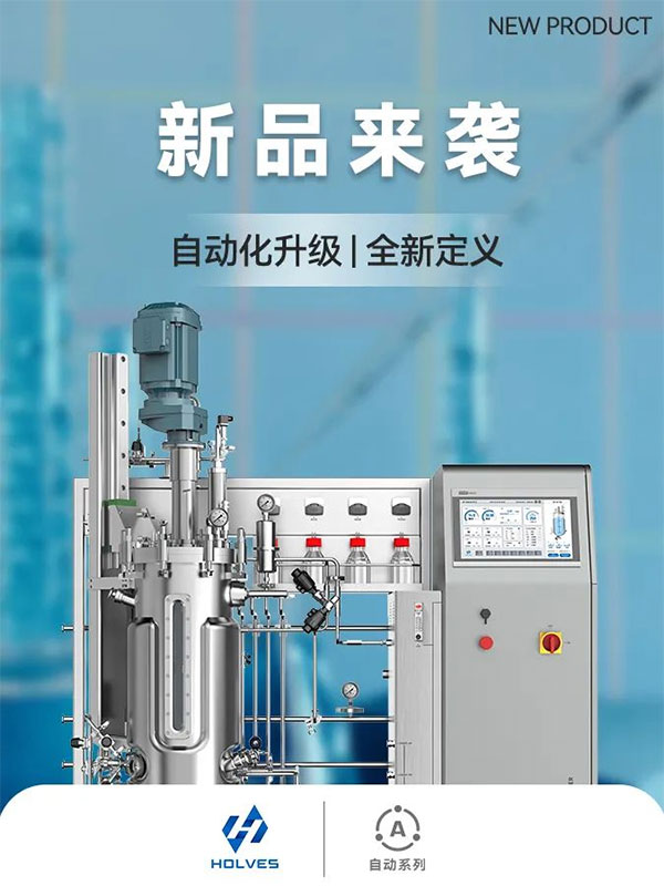 不锈钢蘑菇视频污下载新品 不锈钢蘑菇视频污下载新品
