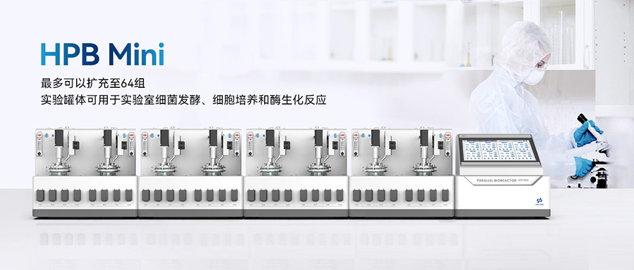 平行蘑菇视频在线下载 平行蘑菇视频在线下载